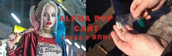 PSILOCYBIN Беломорск