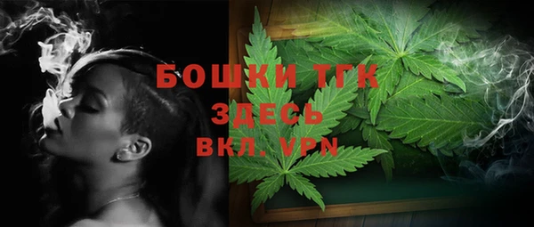 молекула духа Богородицк