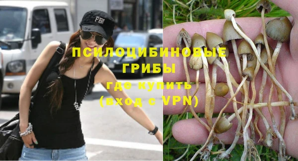молекула духа Богородицк