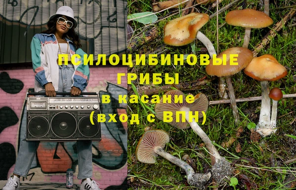 молекула духа Богородицк