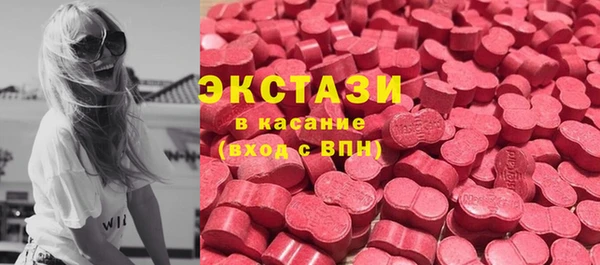 молекула духа Богородицк