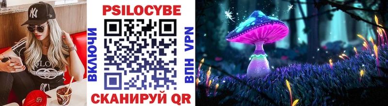 Псилоцибиновые грибы MAGIC MUSHROOMS  блэк спрут как войти  Макаров 
